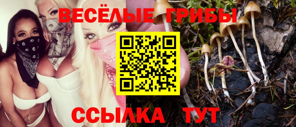 Псилоцибиновые грибы Magic Shrooms Артём